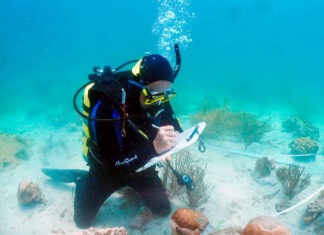 NOAA’S BILL GOODWIN RETIRES FOLLOWING 30-PLUS YEARS a man in a scuba suit is looking at something on the ocean floor