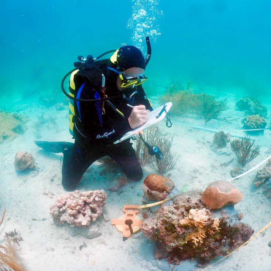 NOAA’S BILL GOODWIN RETIRES FOLLOWING 30-PLUS YEARS