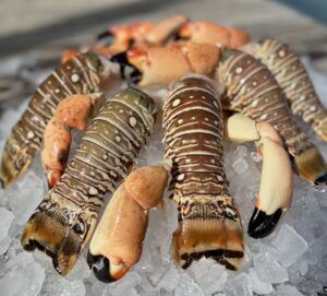 CLAW & ORDER: LOBSTER AND STONE CRAB PRICE FIXING LAWSUITS ACCUSE KEYS FISH HOUSES
