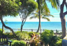 KEY WEST GARDENS AT WEST MARTELLO TURNS 70 a view of the ocean from a park bench