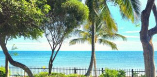 a view of the ocean from a park bench