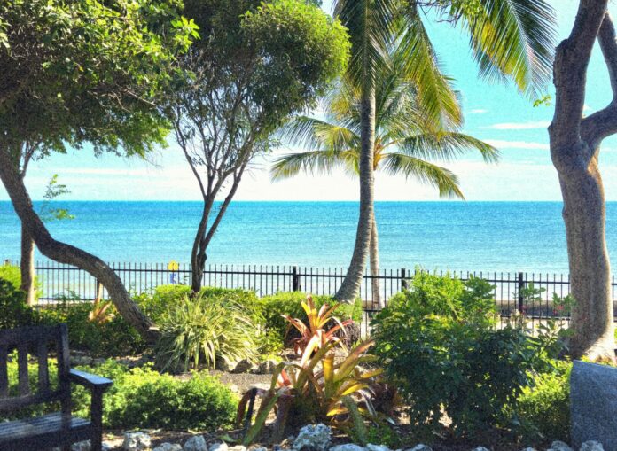 KW garden club a view of the ocean from a park bench