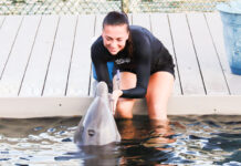 a woman in a wet suit holding a dolphin in the water