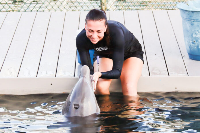 Kayla & Zo a woman in a wet suit holding a dolphin in the water