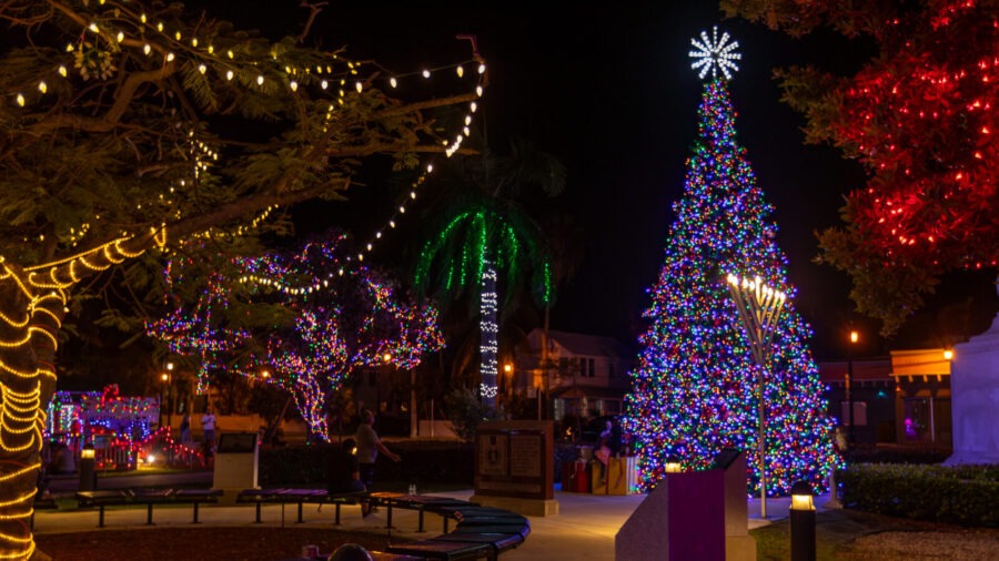 a lit christmas tree in a park at night