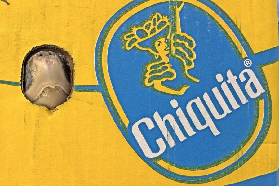 a close up of a sign with a hole in it