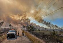 A WILDFIRE, A SHARK BITE, A KEYS INVENTOR AND DAVE PORTNOY TOP THE UPPER KEYS HEADLINES a police car parked on the side of a road