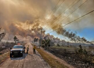 A WILDFIRE, A SHARK BITE, A KEYS INVENTOR AND DAVE PORTNOY TOP THE UPPER KEYS HEADLINES a police car parked on the side of a road