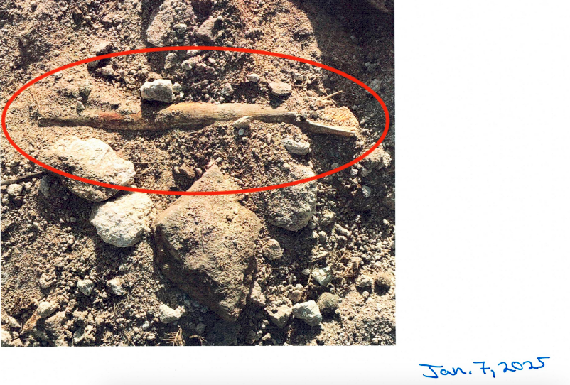 a picture of a piece of wood in the dirt