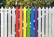 RAINBOW RESURGENCE IN OLD TOWN HITS ROADBLOCK