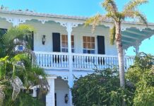 RAINBOW RESURGENCE HITS ROADBLOCK IN OLD TOWN