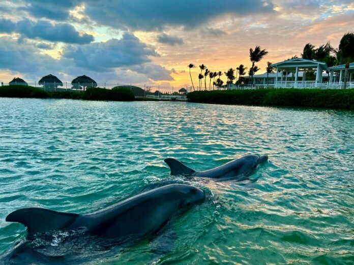 5ef9268e-4a72-4c62-b4bf-6a3b71c94c4a (1)