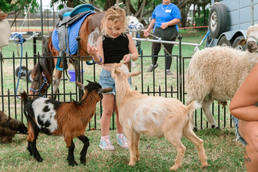 a group of people standing around a group of goats