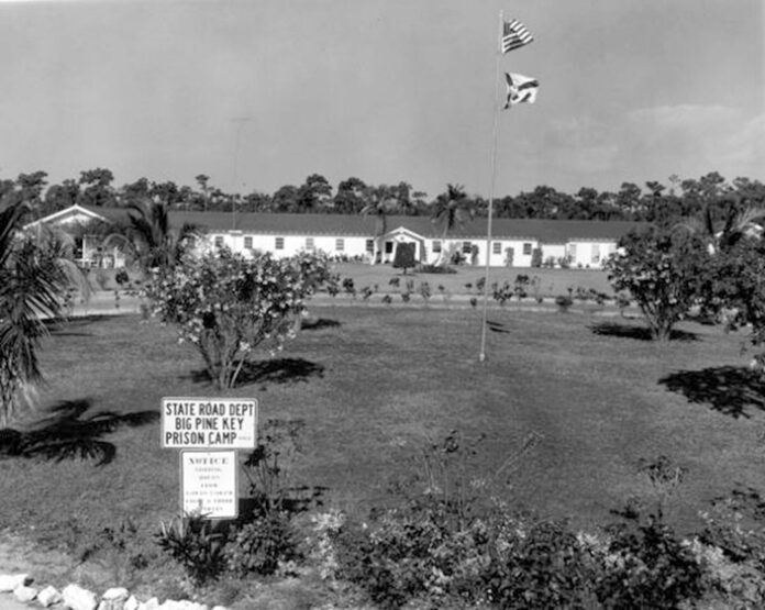 a black and white photo of a building and a flag