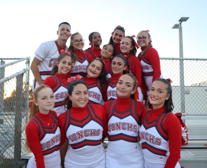 a group of cheerleaders posing for a picture