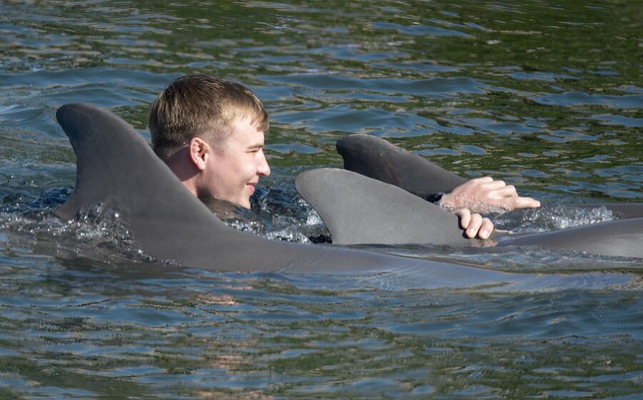 a man riding on the back of a gray dolphin