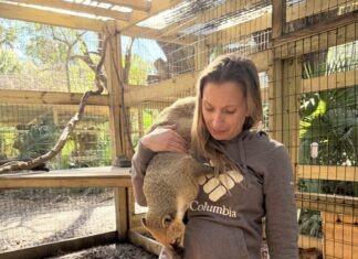 REEF’S REPORT: CENTRAL FLORIDA SANCTUARY PROVIDES SECOND CHANCE TO ABANDONED AND ABUSED EXOTIC ANIMALS a woman holding a small animal inside of a cage