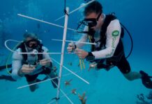 a couple of people that are in the water