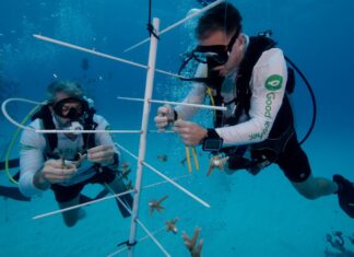 a couple of people that are in the water