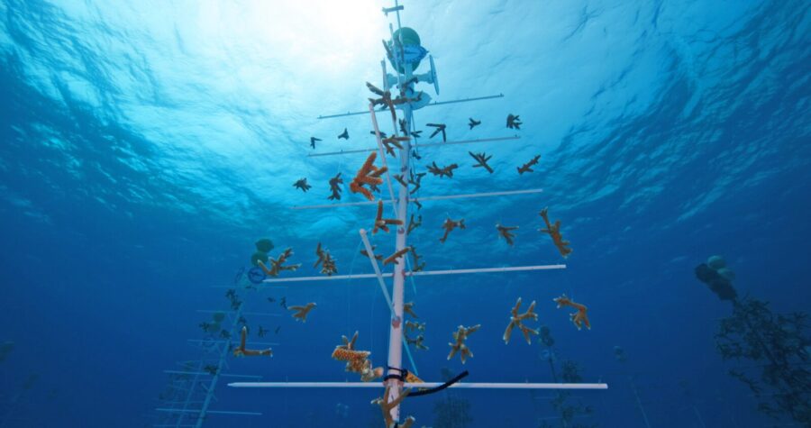 a pole in the middle of the ocean with birds on it