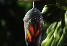 FUNCTIONALLY CAFFEINATED WELLNESS: CHANGE DOESN’T FEEL LIKE PROGRESS AT FIRST