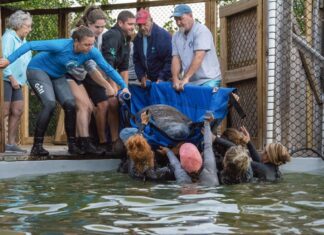 a group of people standing around a pool of water