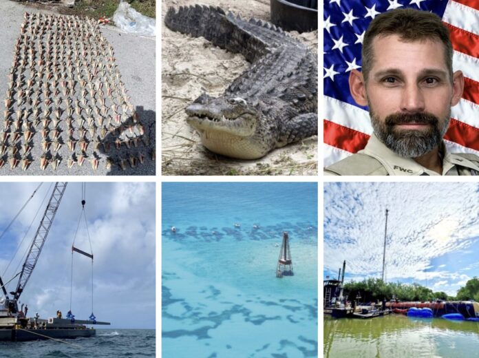 a collage of photos with a man and a boat