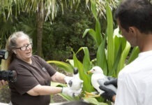 KEY WEST WILDLIFE CENTER HOSTS ‘IT’S FOR THE BIRDS’ FUNDRAISER