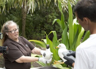KEY WEST WILDLIFE CENTER HOSTS ‘IT’S FOR THE BIRDS’ FUNDRAISER