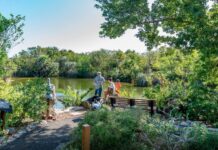 KEY WEST BOTANICAL GARDEN TOOK ROOT 90 YEARS AGO DURING THE GREAT DEPRESSION