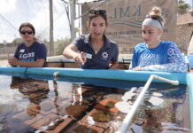 PUBLIC GETS GLIMPSE OF REEF RESTORATION EFFORTS DURING KEYS MARINE LAB’S OPEN HOUSE