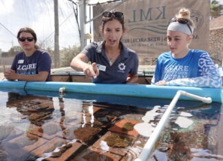 PUBLIC GETS GLIMPSE OF REEF RESTORATION EFFORTS DURING KEYS MARINE LAB’S OPEN HOUSE