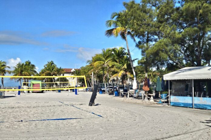 Higgs Beach volleyball