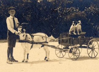 KEY WEST BACK IN THE DAY: MIKEY DARE & THE MYTHICAL GOATS