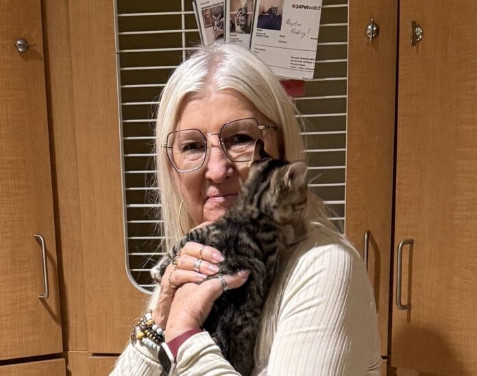 Crystal cuddles kitten