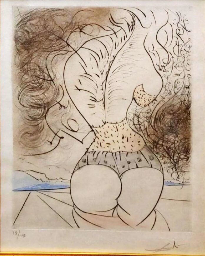 dali furs