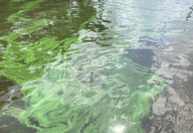 CLEAN WATER BEGINS ON LAND