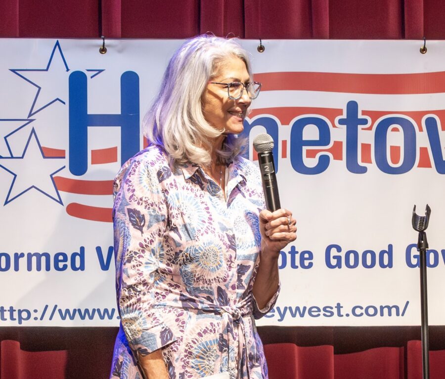 CANDIDATES IN COUNTYWIDE RACES MAKE PITCH TO VOTERS