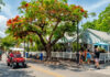 2 KEY WEST RESTAURANTS EARN MICHELIN HONORS