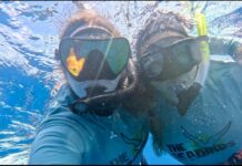 NONPROFIT OFFERS SCHOLARSHIP FOR A HUMPBACK WHALE EXPEDITION