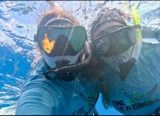 NONPROFIT OFFERS SCHOLARSHIP FOR A HUMPBACK WHALE EXPEDITION