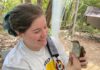 Where do they go? State park talk highlights the journey of songbirds