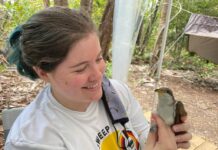 Where do they go? State park talk highlights the journey of songbirds