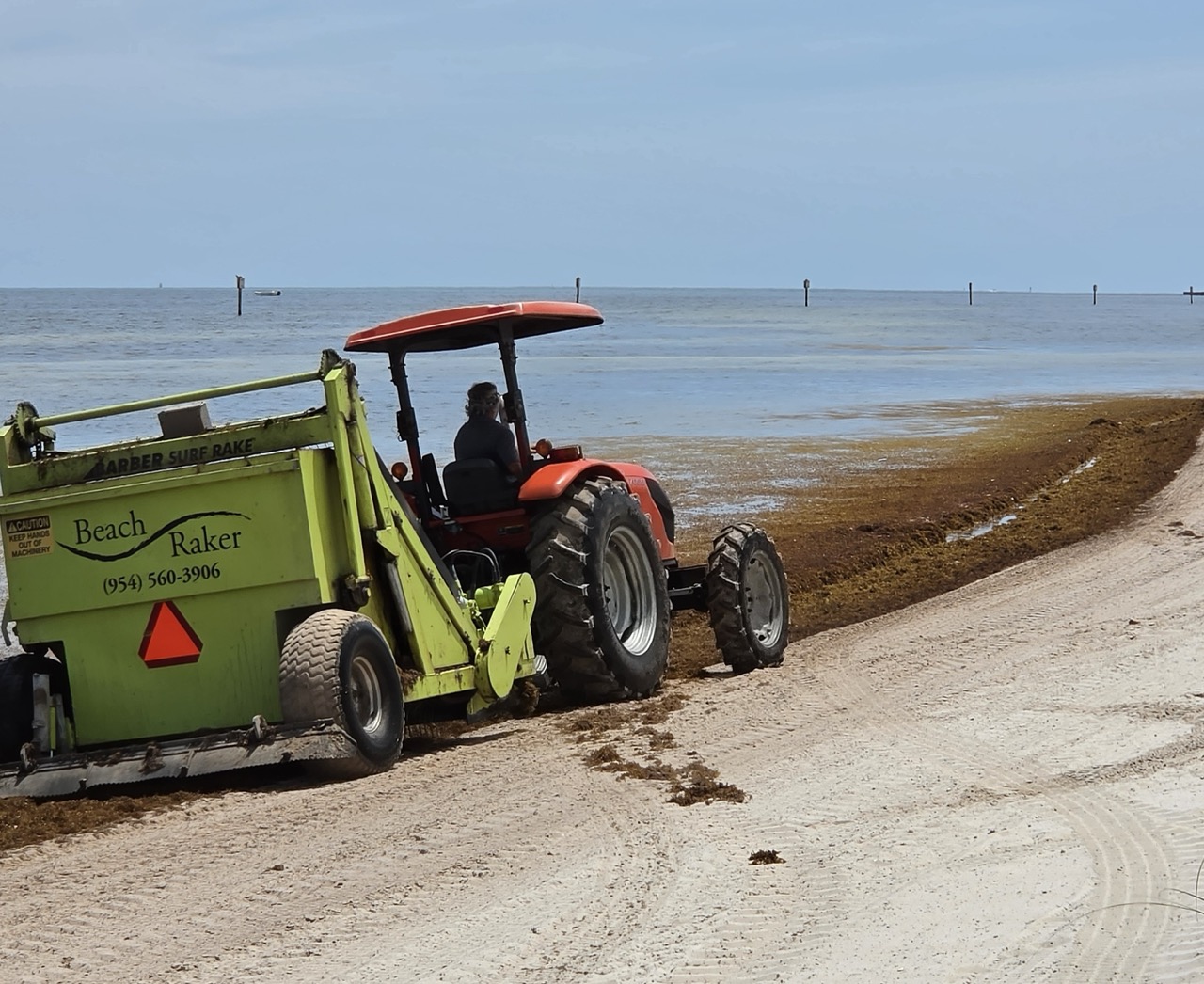 Key West has a weed problem — a seaweed problem
